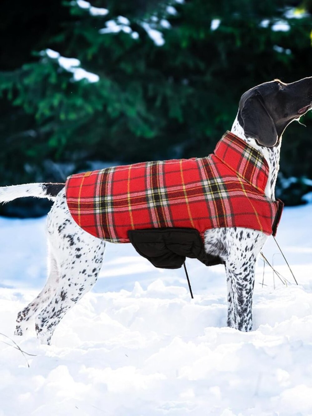 Kuoser Waterproof Dog Coat